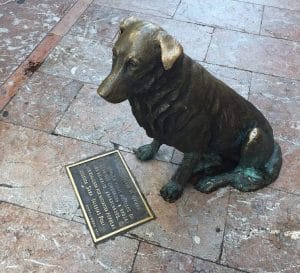 Lee más sobre el artículo Rufo es el perro de Oviedo, como Hachikō lo es de Shibuya