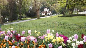 Lee más sobre el artículo Parque de San Francisco en Oviedo