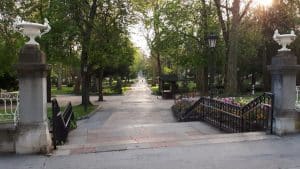 Lee más sobre el artículo Espacios Verdes de Oviedo: parques y jardines